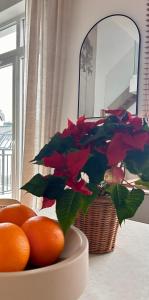 Apartament w Słupsku winda parking balkon