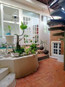 Palmares Casa Rústica