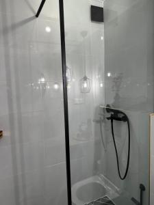 Panthera-urban-studio