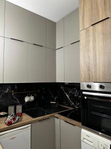 Panthera-urban-studio