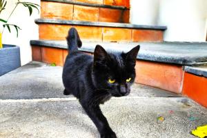 Villa Eterna Mungibeddu