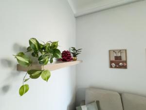 Corte di MI - Central Station & Loreto, Milan