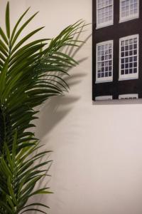 Charming 2 Bedroom , 2 Bathroom apartment