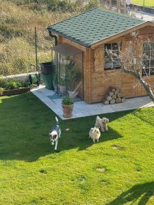 Ca Celeste sul Garda