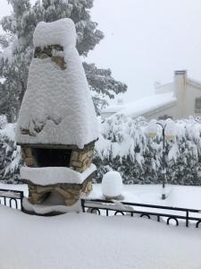 La Huerta de Chocolate Mínimo 2 años larga duración