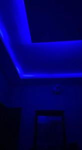 Hotel Nandini luxury vibes