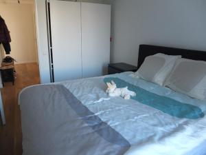 Cozy 2 Bedroom Home Away from Home