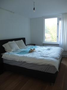 Cozy 2 Bedroom Home Away from Home