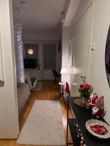 Cozy Studio Apartment