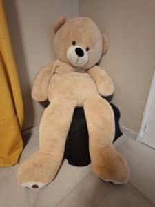 Laparté Tournonaise