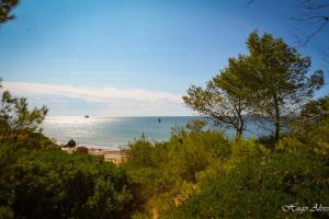 Kings House - Casa da Árvore