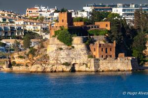 Kings House - Casa da Árvore