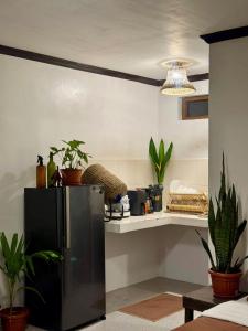 New Peaceful Studio House, Center of General Luna