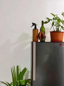 New Peaceful Studio House, Center of General Luna