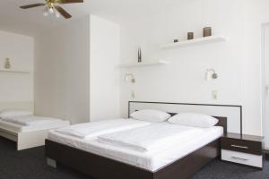 One-Room Apartment room in Aparthotel VEGA