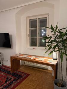 Stylish Studio in Linz Old Town Cozy & Central
