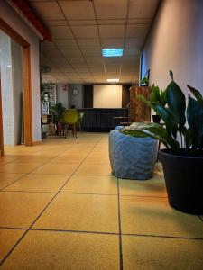 Hostel Cangas Backpackers