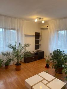 Therme Hive of Plants