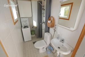 Riverside Cabin beneath the Northern Lights