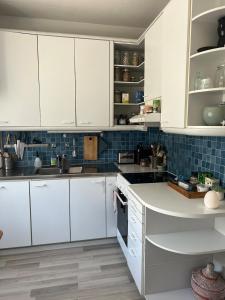 Simply furnished spacious apartment