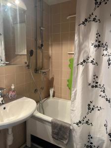 Simply furnished spacious apartment