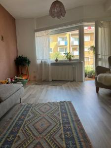 Simply furnished spacious apartment