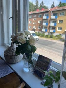 Simply furnished spacious apartment