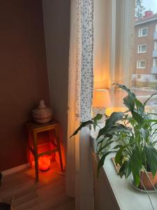 Simply furnished spacious apartment