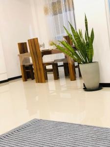 villa skylar opulent stays