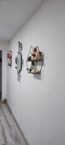 B&B PalmaViola