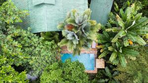 Private Villa with Pool & Heated Jacuzzi, AC, Jungle Garden Near Amenities & Beach