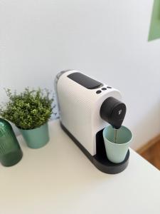 Old Town Green Room with private bathroom