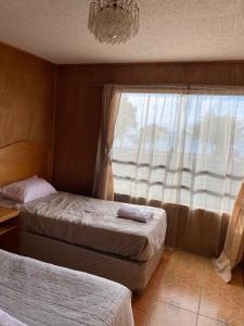 Habitacion con baño privado