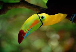 Magic Moon Beach House