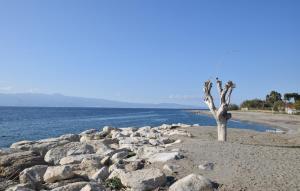 Cozy Apartment In Palmi With Wifi