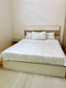 Cairo, a hotel apartment on the Nile next to the Four Seasons