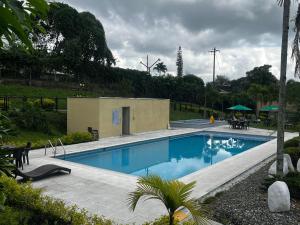 Modern apartment surrounded by nature