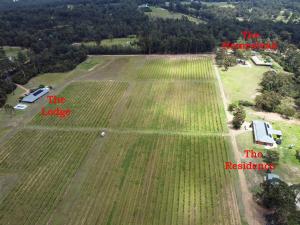 Entire vineyard estate, hunter family gatherings