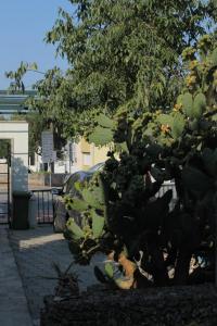 Studio Makarska 6632a