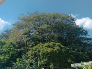 habitación doble con baño privado