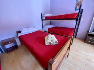 Hostal Nuevo Sol y Viento