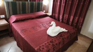 Termini sole guest house