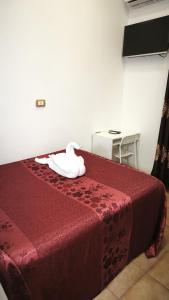 Termini sole guest house