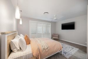 Jolly turtle - pool, private jetty, PMQ canals