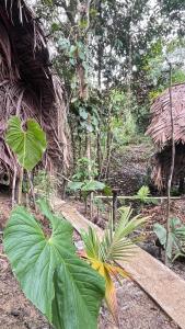 HostelyGlampingNativo