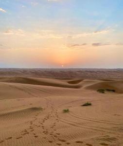 Moon light in Desert Camp