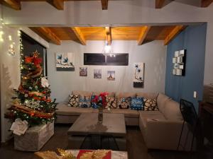 Cabaña "Alexa", en el corazón del bosque de Mazamitla