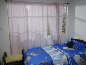 Comfortable apartment