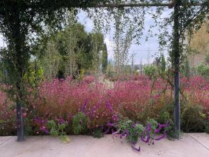 Prickly Pear Boutique Guesthouse