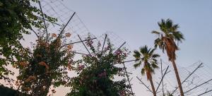 Departamento tipo mediterraneo